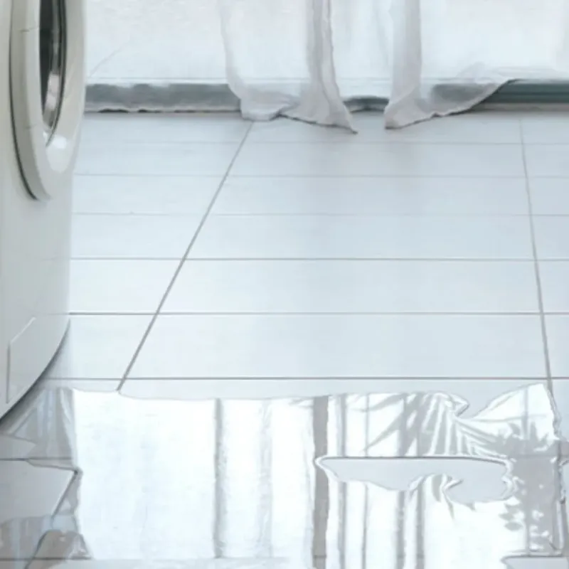 Appliance Leak Cleanup in Mountain City, TN