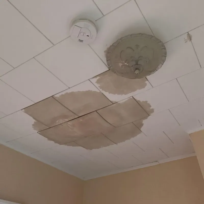 Ceiling Water Damage Repair in Mountain City, TN