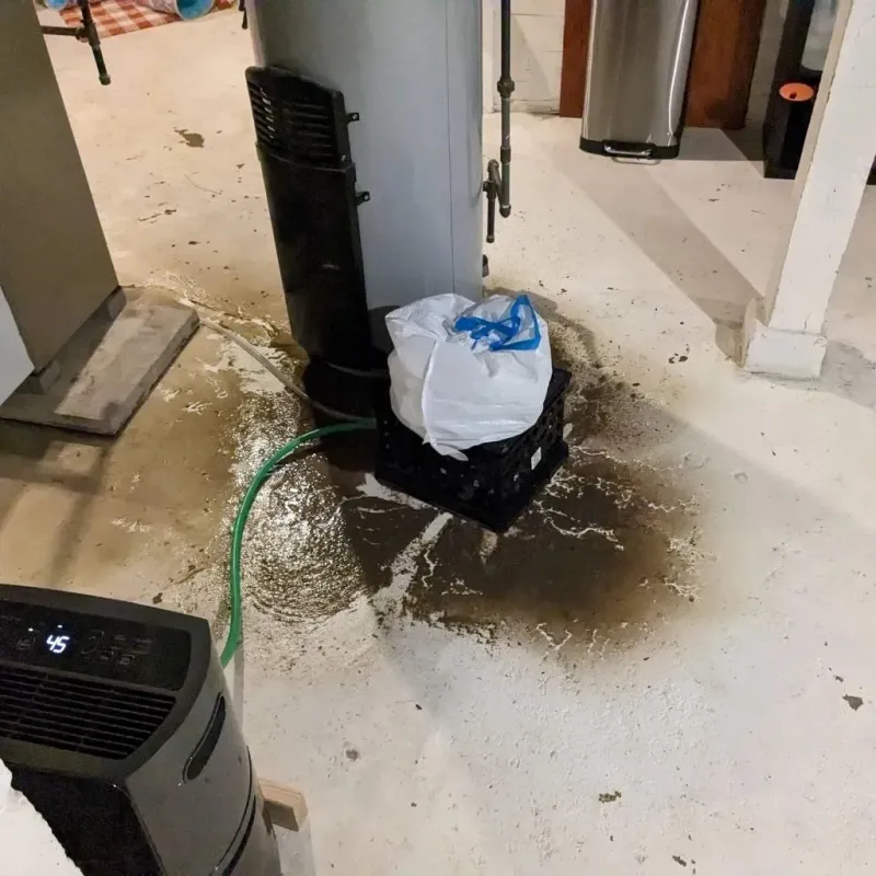 Sewage Backup Cleanup Service in Mountain City, TN